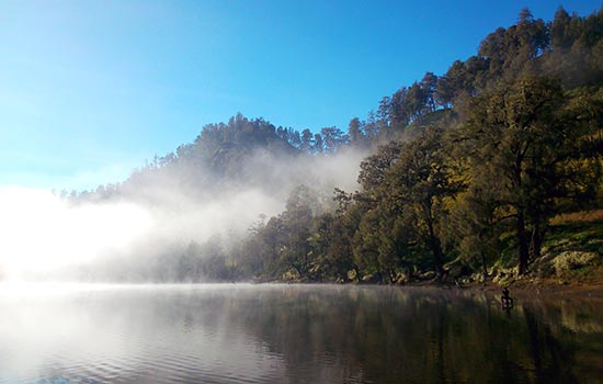 Kabut Danau Ranukumbolo
