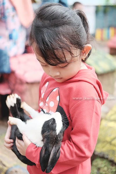 Wisata Bermain Kelinci Bandar Lampung