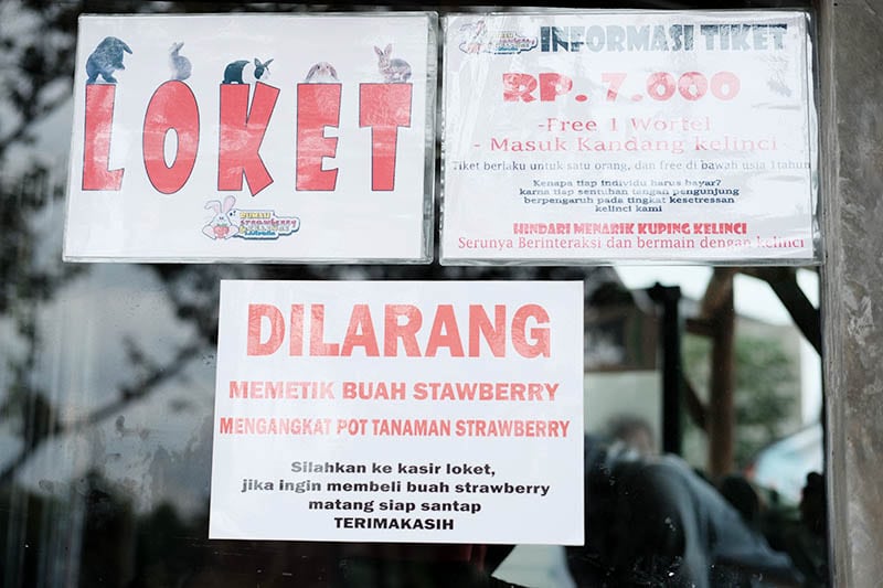 Harga Tiket Masuk Taman Kelinci Bandar Lampung