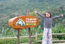 Liburan Ke Taman Safari Bogor