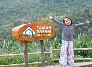 Liburan Ke Taman Safari Bogor